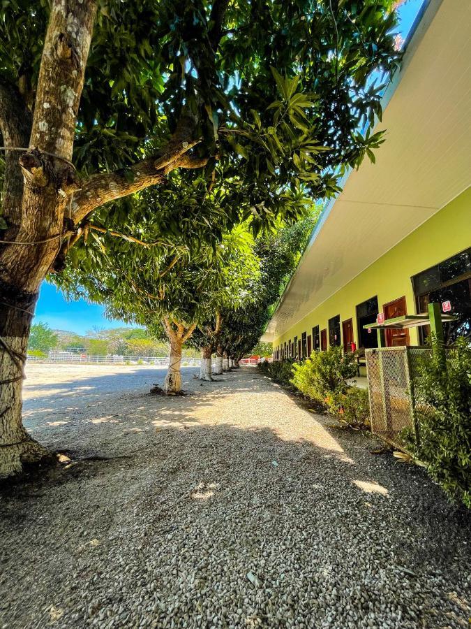 Hotel El Regalo 尼科亚 外观 照片